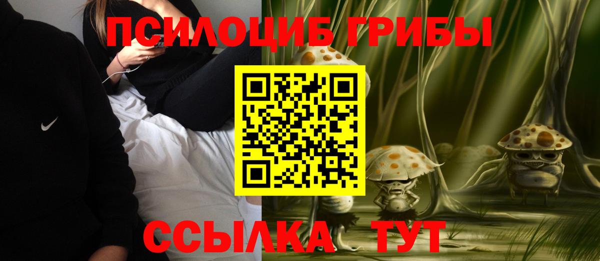 Бердск  Псилоцибиновые грибы мухоморы  Вход с VPN 